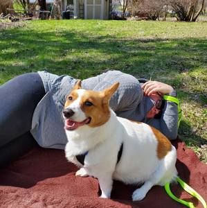 Meet your Posher, Katarina